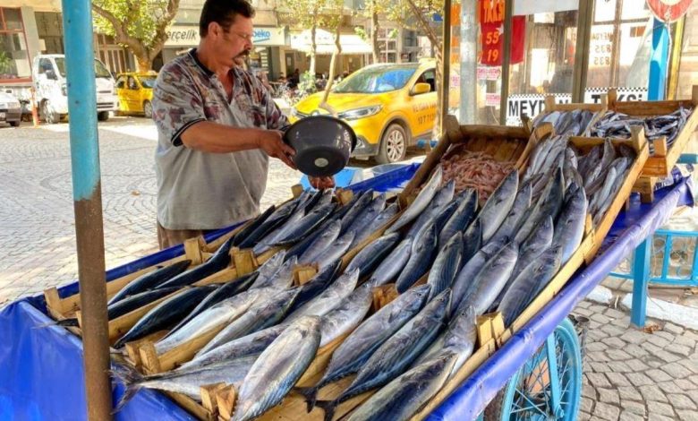 Balıkesir haber! Erdek'te balık sezonu bereketli geçiyor