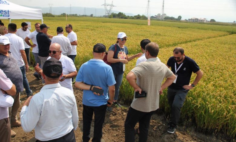 Balıkesir'in Gönen ilçesinde çeltik üreticileri ile sektör paydaşları bir araya geldi