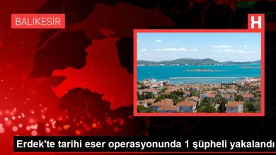 Erdek'te tarihi eser operasyonunda 1 şüpheli yakalandı