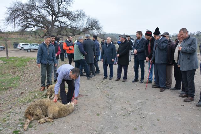 Kuraklık çanları çalan Balıkesir'de barajlar dolsun diye kurban kesildi