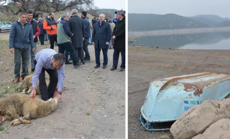 Kuraklık çanları çalan Balıkesir'de barajlar dolsun diye kurban kesildi