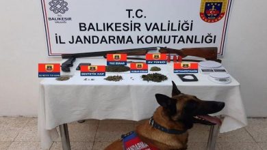 Balıkesir'de jandarmadan uyuşturucu operasyonu