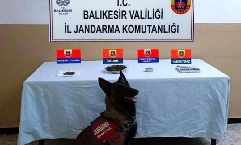 Balıkesir'de jandarmadan 48 şahsa uyuşturucu operasyonu