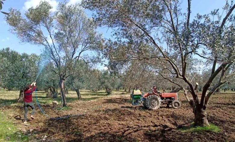 'Halkalı leke hastalığı' için ikinci ilaçlama uyarısı